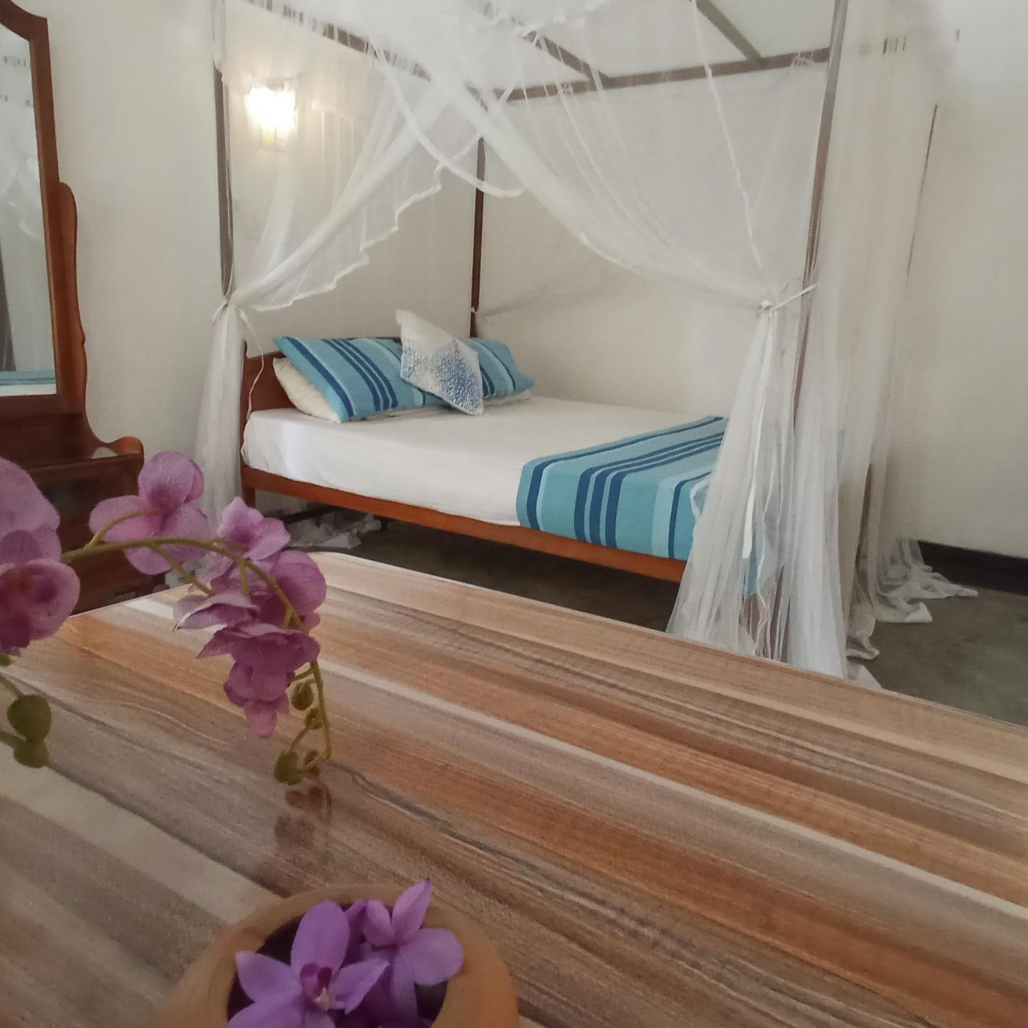 אונה ואטונה Bluebell Guest House מראה חיצוני תמונה